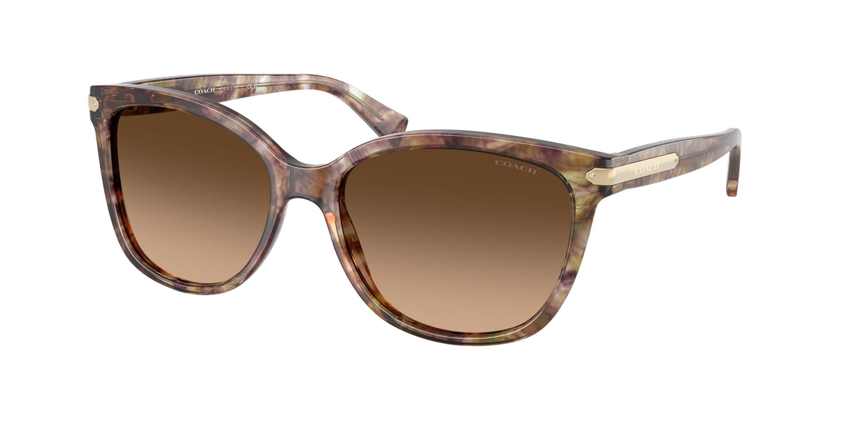 Coach HC8132 Tortoise Sunglasses