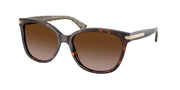 Coach HC8132 Dark Tortoise Sunglasses