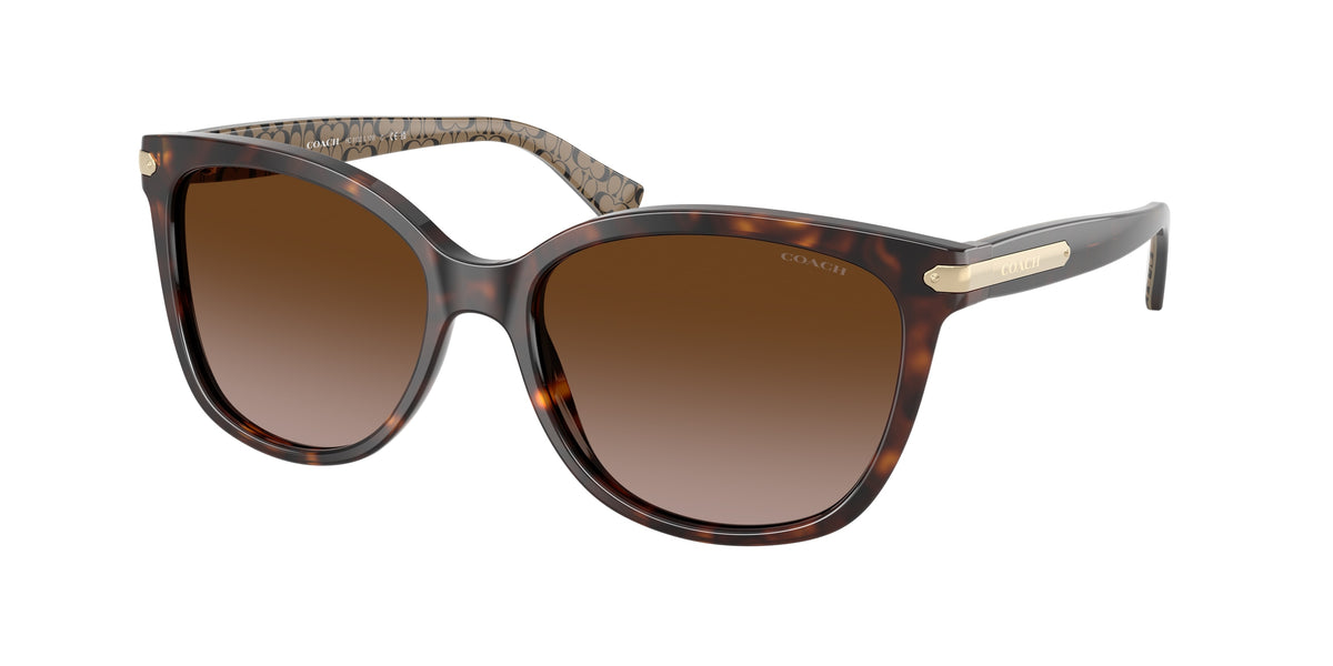Coach HC8132 Dark Tortoise Sunglasses