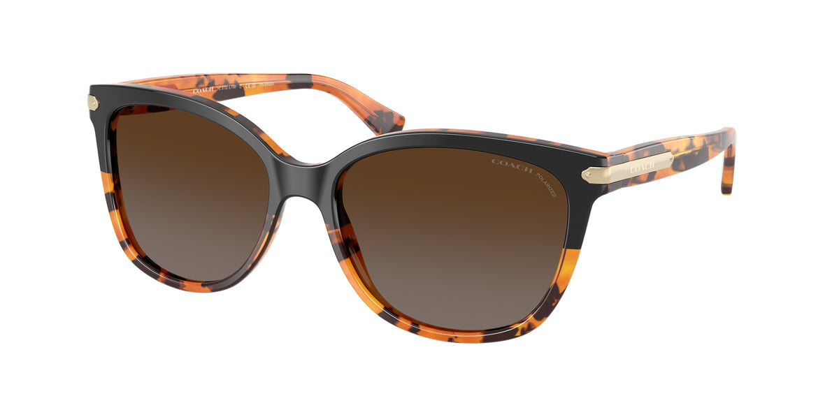 Coach HC8132 Black Tortoise Gradient Sunglasses
