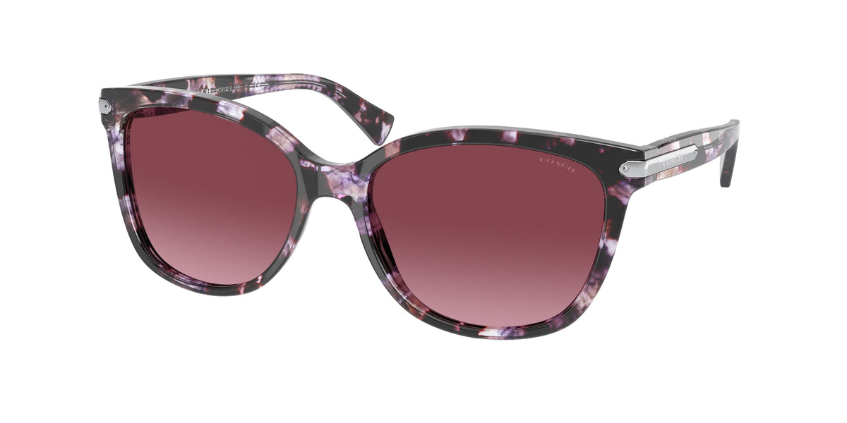 Coach HC8132 Purple Tortoise Sunglasses