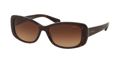 Coach HC8168 Sunglasses