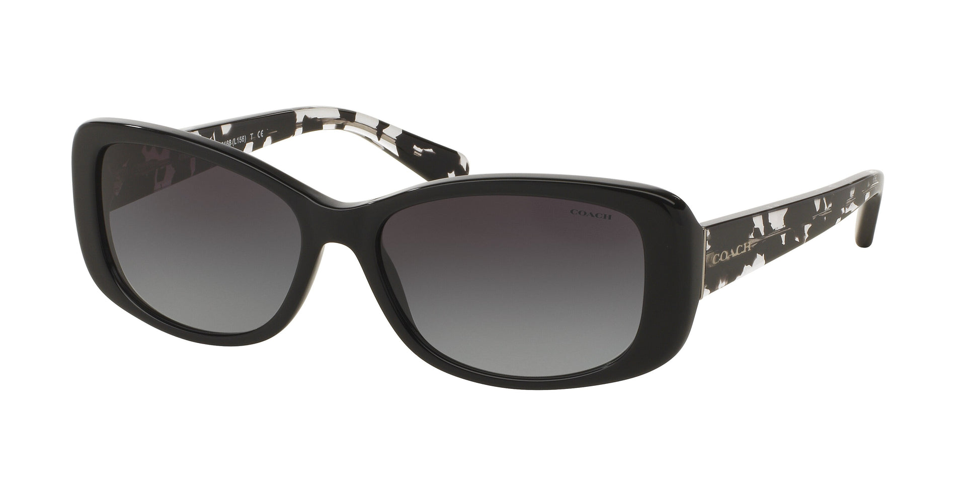 Coach HC8168 Black Sunglasses