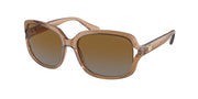 Coach HC8169 Transparent Brown Sunglasses