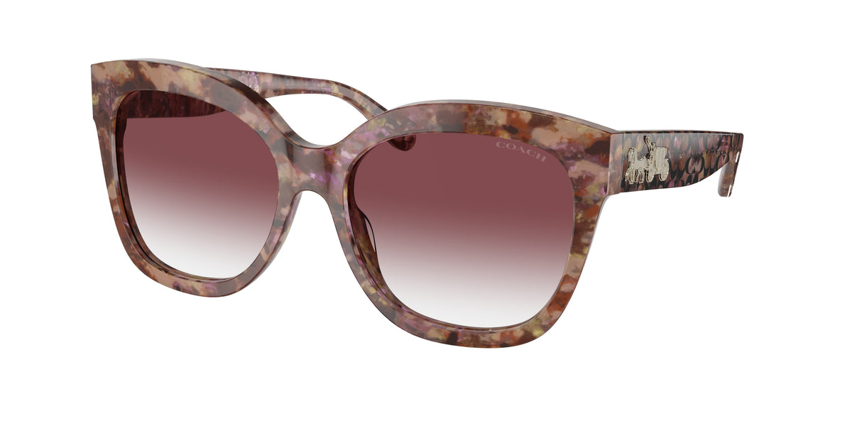 Coach HC8264 Petal Tortoise Sunglasses