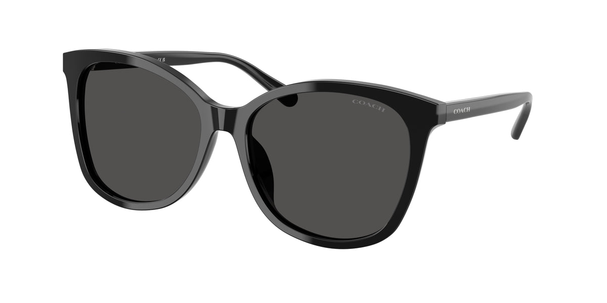 Coach HC8271U Black Sunglasses