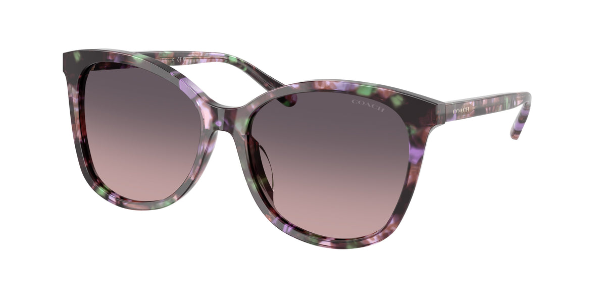 Coach HC8271U Amethyst Pearl Tortoise Sunglasses
