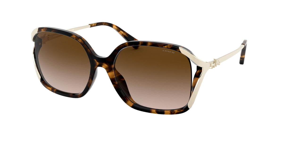 Coach HC8280U Dark Tortoise Sunglasses