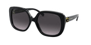 Coach HC8292 Black Sunglasses