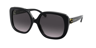 Coach HC8292 Sunglasses