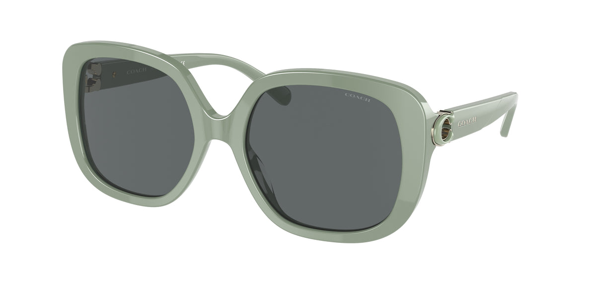 Coach HC8292 Pastel Green Sunglasses