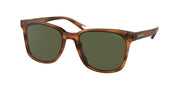 Coach HC8313U Amber Horn Sunglasses