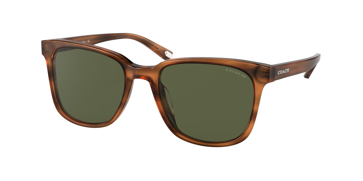 Coach HC8313U Amber Horn Sunglasses