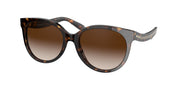 Coach HC8321 Dark Tortoise Sunglasses
