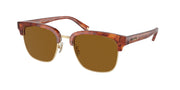 Coach HC8326 Caramel Tortoise/Light Gold Sunglasses