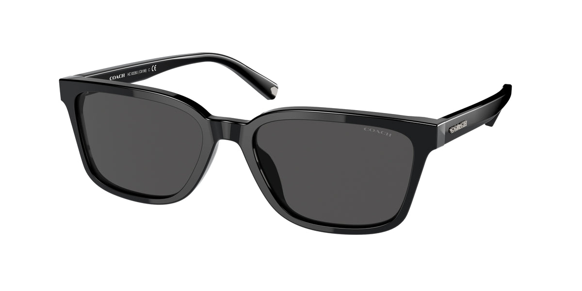Coach HC8328U Black Sunglasses
