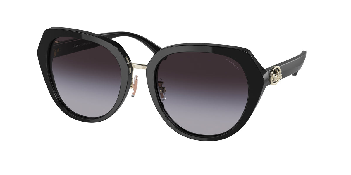 Coach HC8331 Black Sunglasses