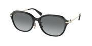 Coach HC8332D Black Sunglasses
