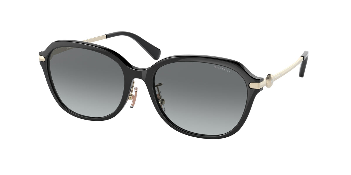 Coach HC8332D Black Sunglasses