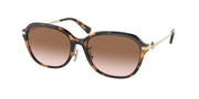 Coach HC8332D Dark Tortoise Sunglasses