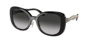 Coach HC8333 Black Sunglasses