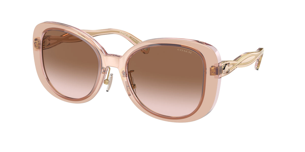 Coach HC8333 Transparent Blush Sunglasses