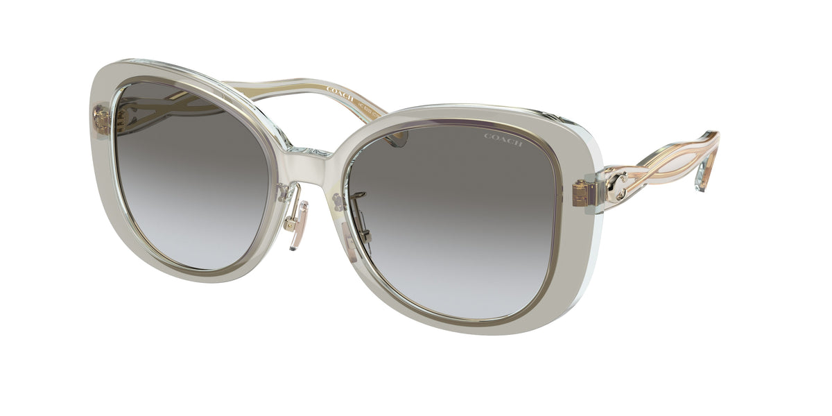 Coach HC8333 Transparent Grey Sunglasses
