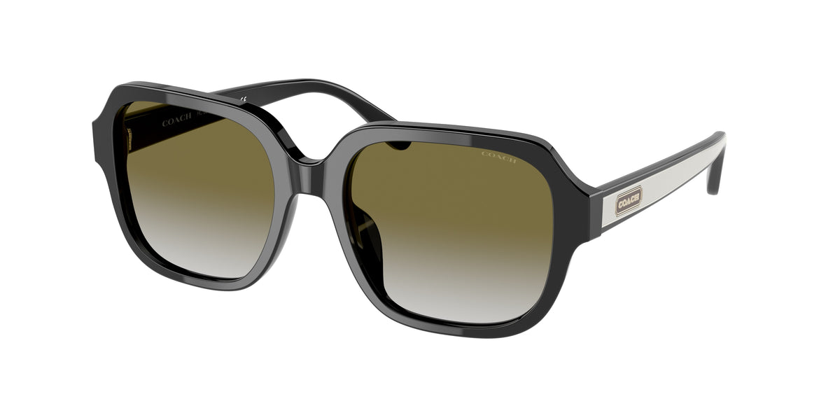 Coach HC8335U Black Sunglasses
