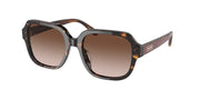 Coach HC8335U Dark Tortoise Sunglasses