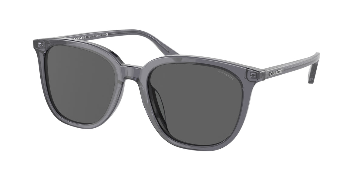 Coach HC8338U Transparent Dark Grey Sunglasses