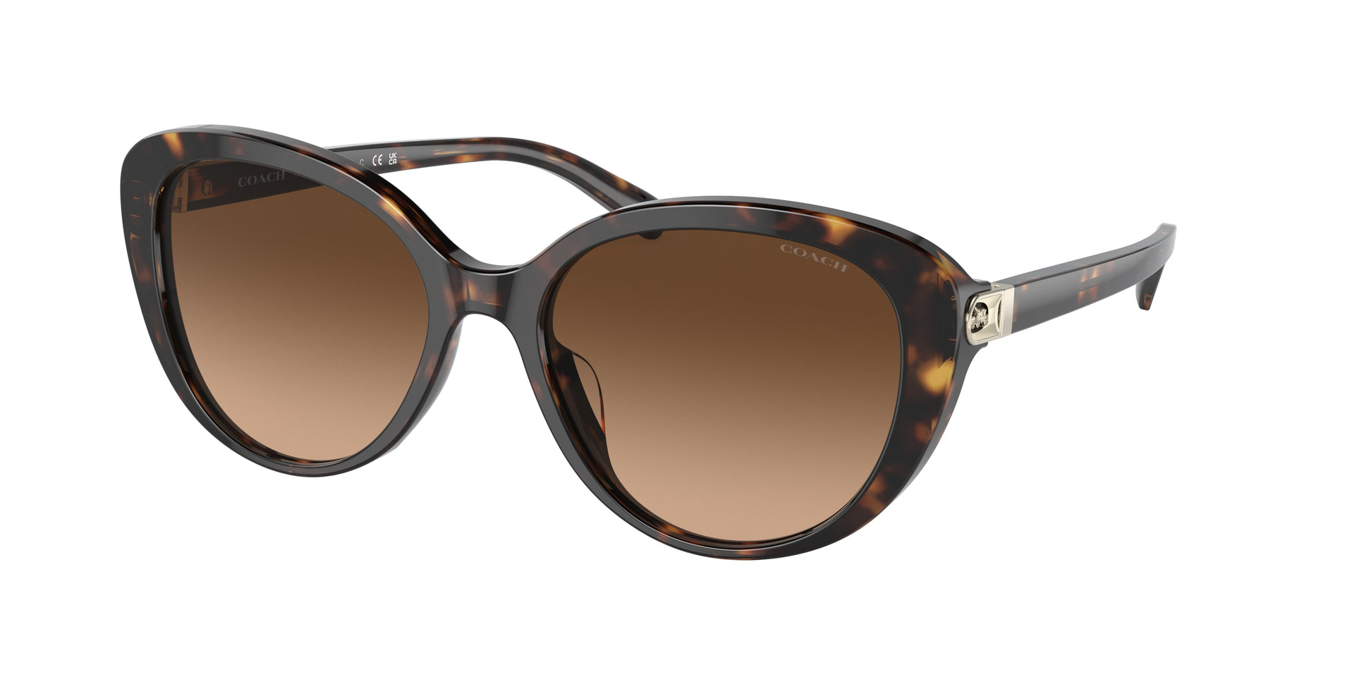 Coach HC8348U Dark Tortoise Sunglasses