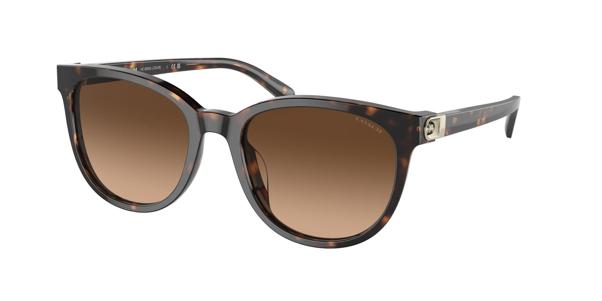 Coach HC8350U Dark Tortoise Sunglasses