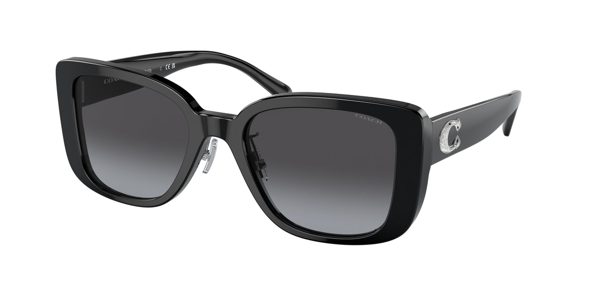 Coach HC8352 Black Sunglasses