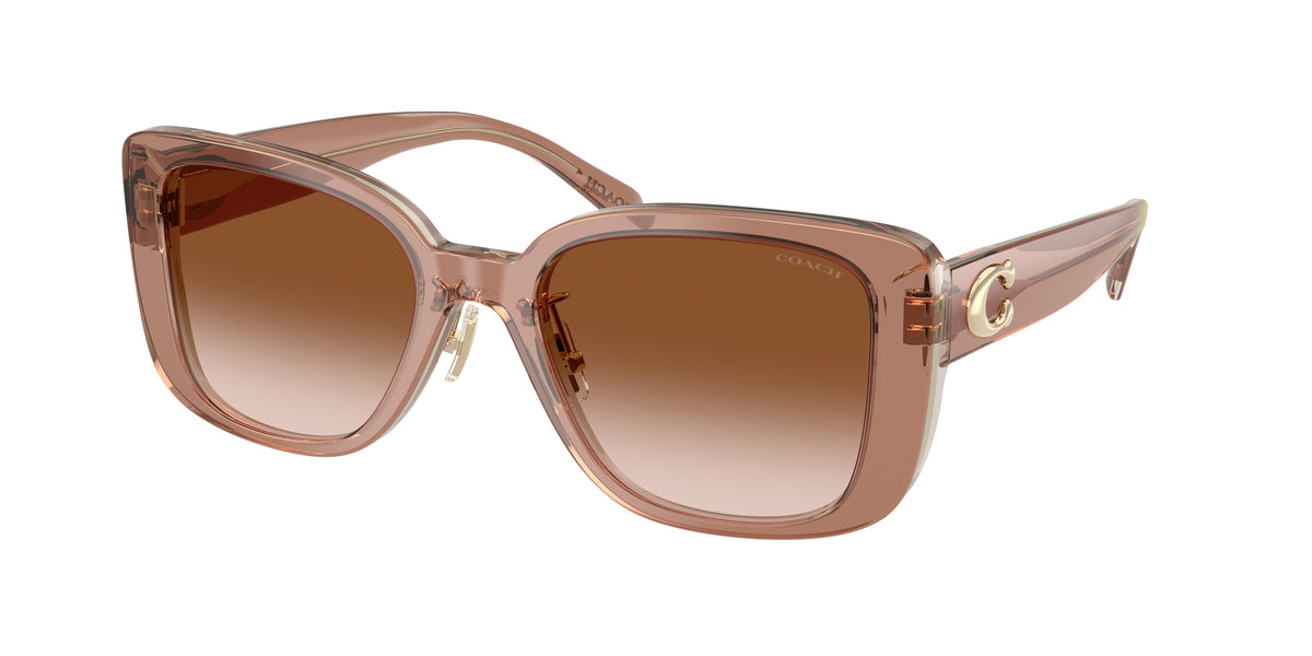 Coach HC8352 Brown/Grey Sunglasses