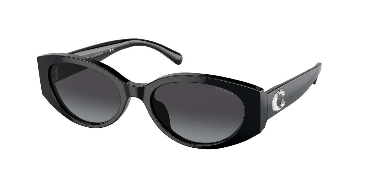 Coach HC8353F Black Sunglasses