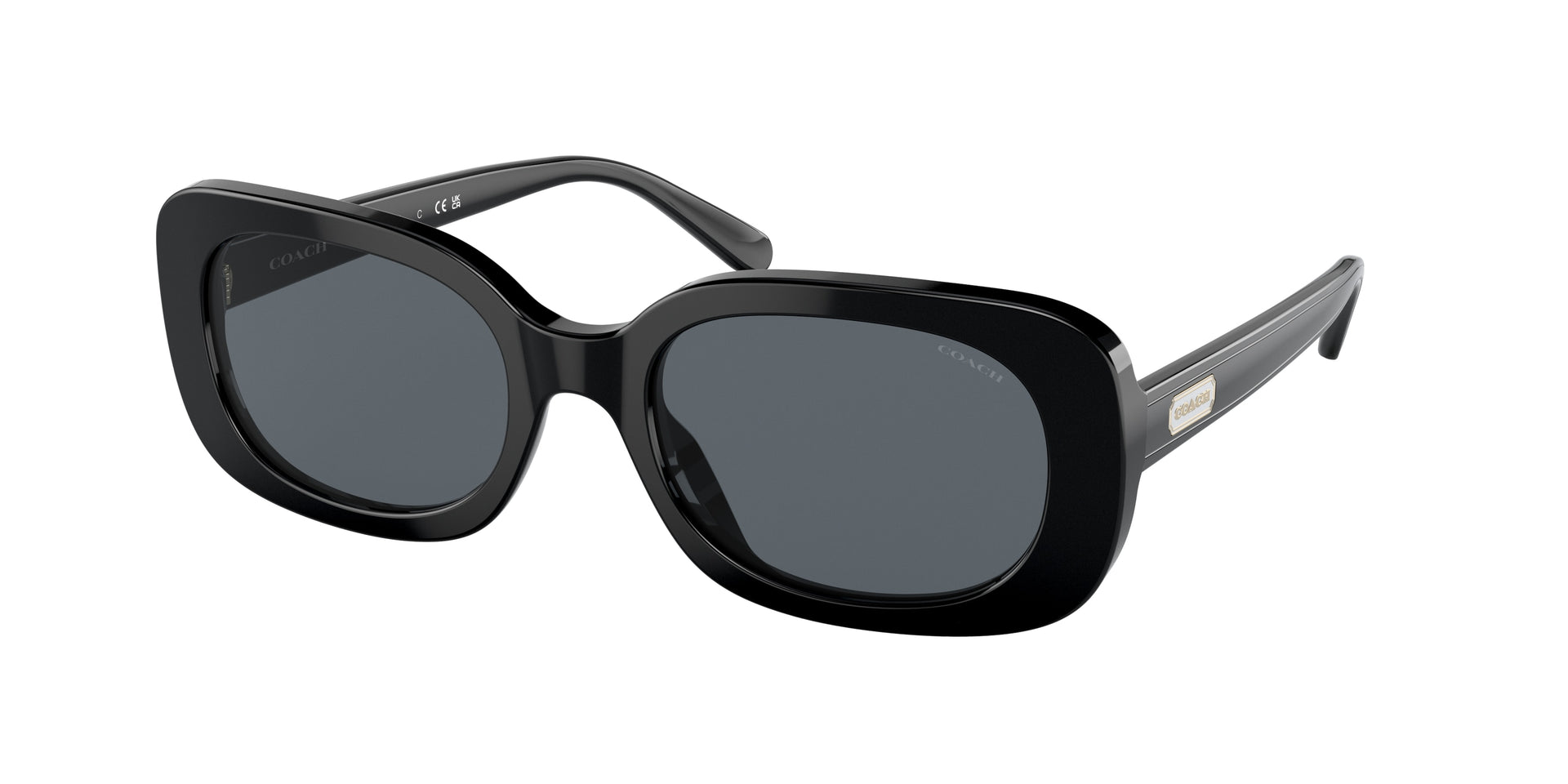 Coach HC8358U Black Sunglasses