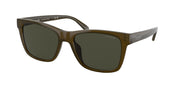 Coach HC8359U Military Green Sunglasses