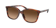 Coach HC8361U Caramel Tortoise Sunglasses