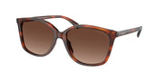 Coach HC8361U Caramel Tortoise Sunglasses