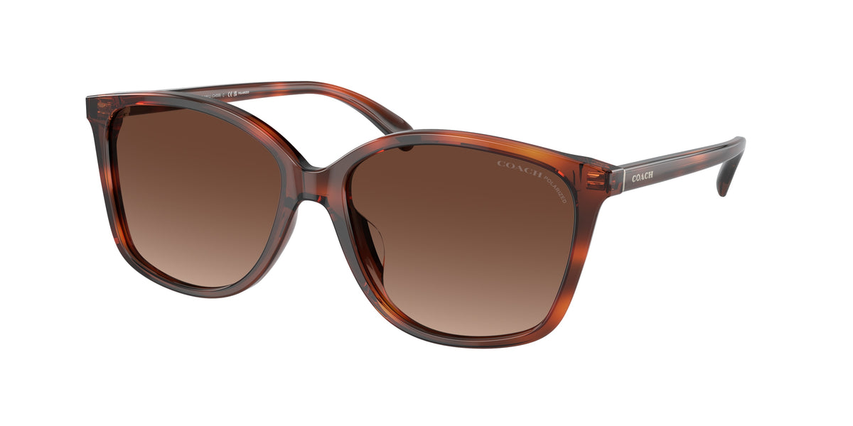 Coach HC8361U Caramel Tortoise Sunglasses
