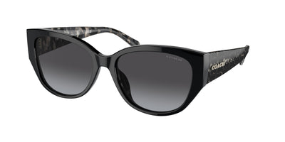 Coach HC8362U Sunglasses