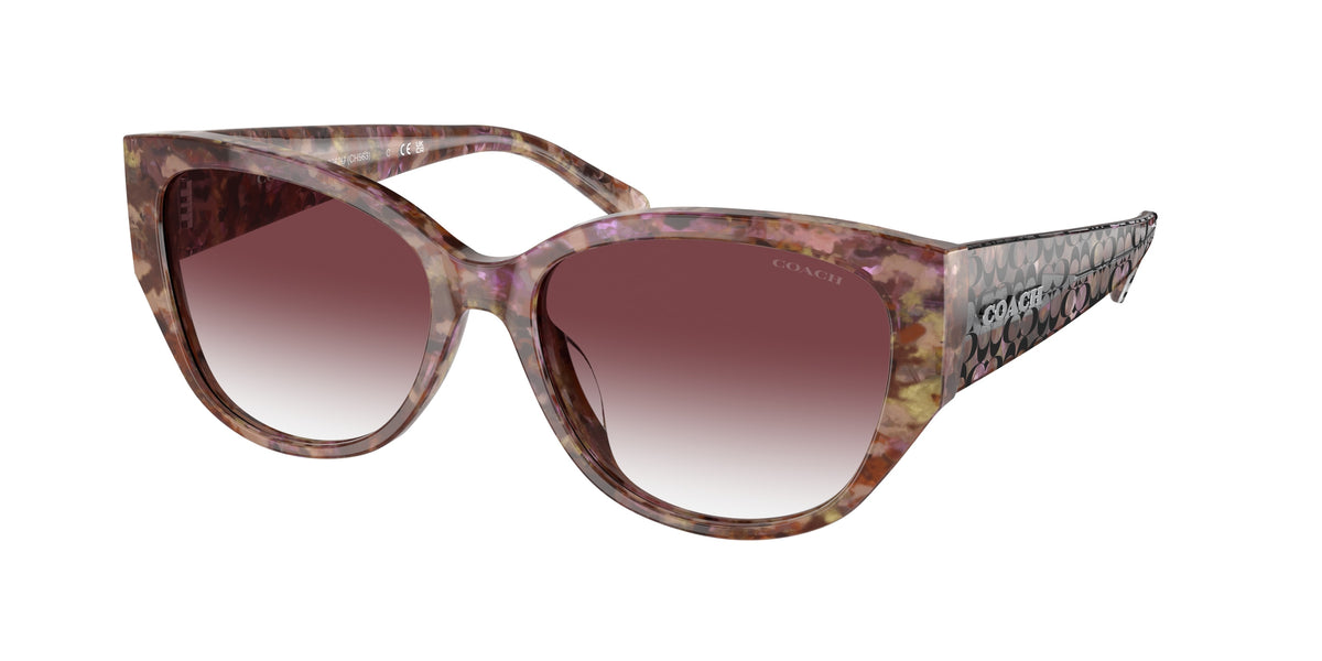 Coach HC8362U Petal Tortoise Sunglasses