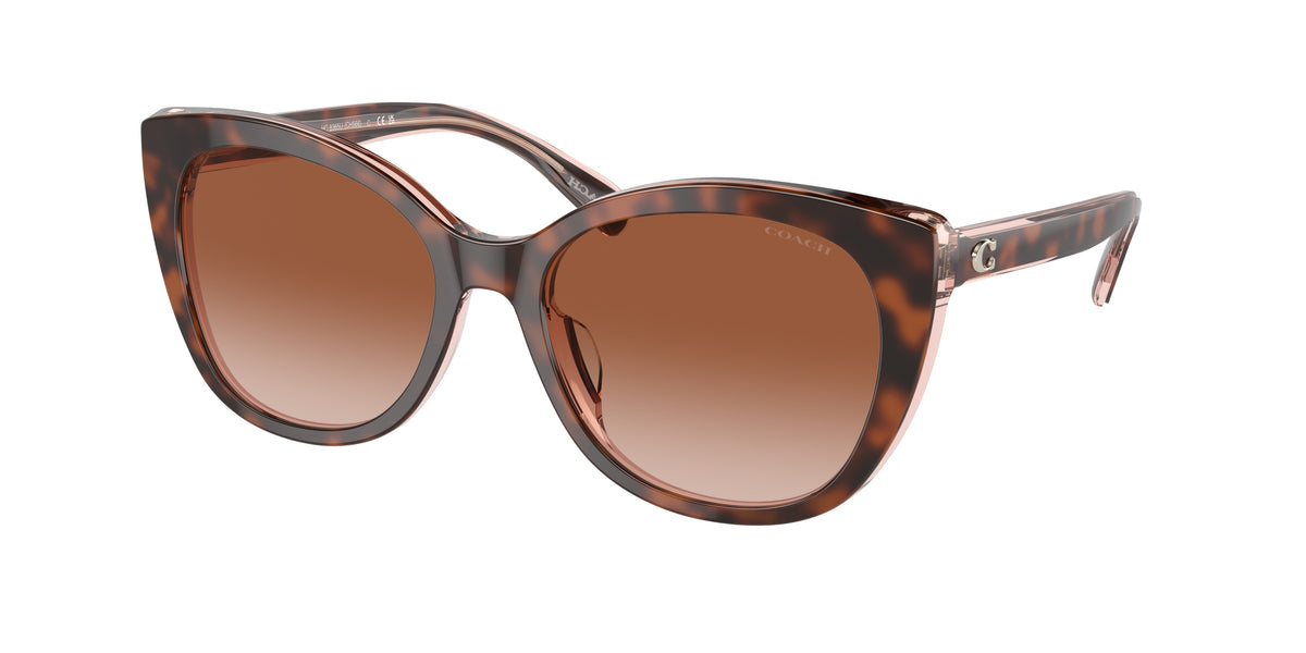 Coach HC8365U Tortoise/Transparent Pink Sunglasses