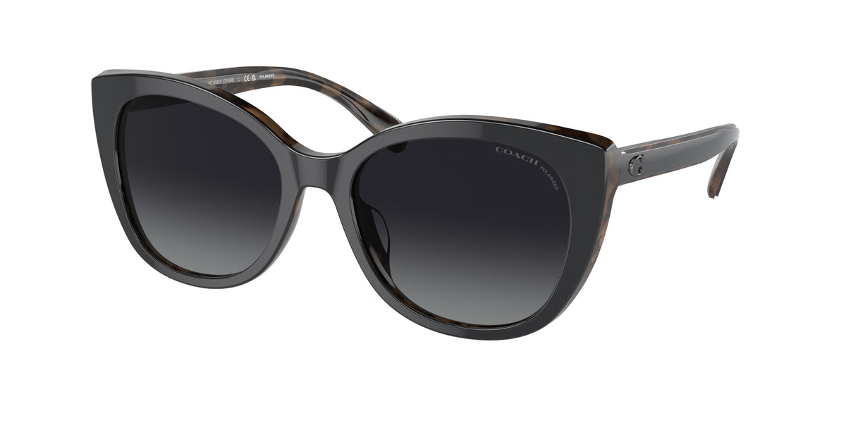 Coach HC8365U Black/Dark Tortoise Sunglasses