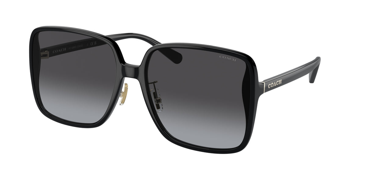 Coach HC8368D Black Sunglasses