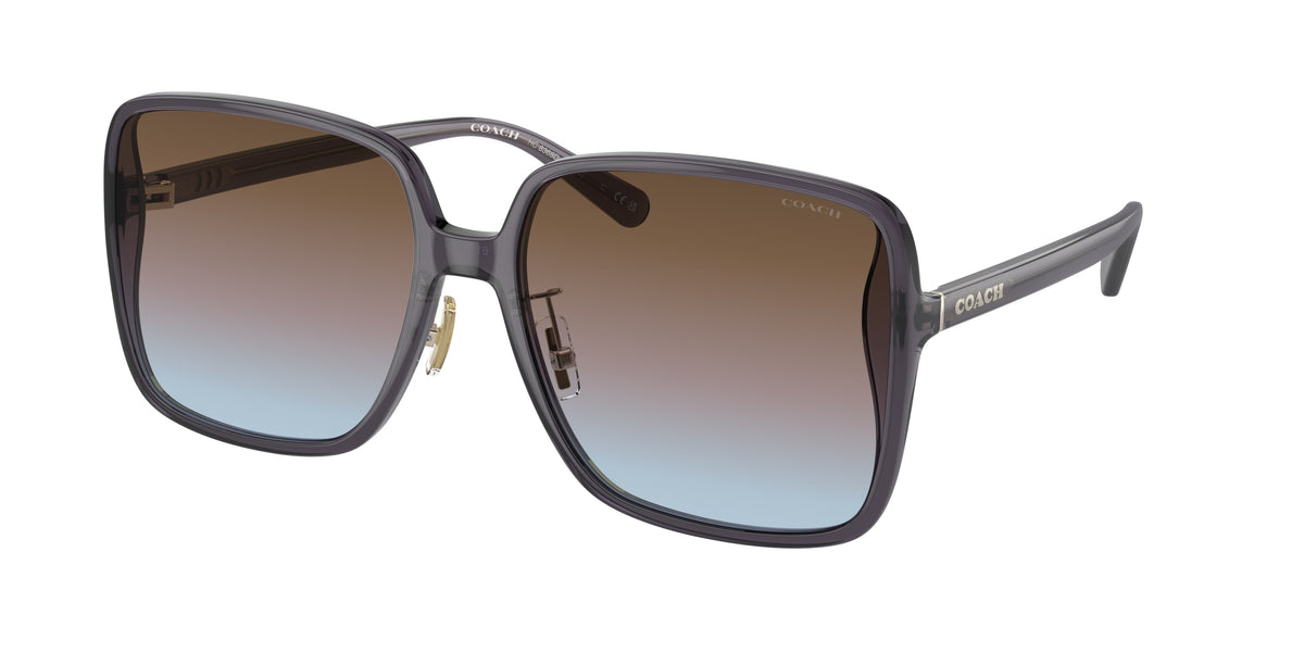 Coach HC8368D Transparent Violet Sunglasses