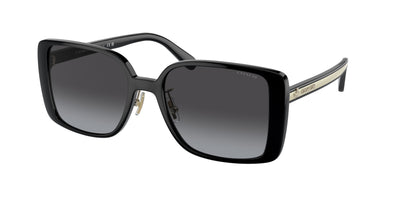 Coach HC8375 Sunglasses