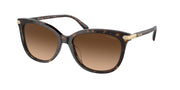 Coach HC8378U Dark Tortoise Sunglasses