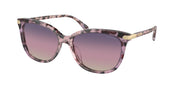Coach HC8378U Iris Tortoise Sunglasses