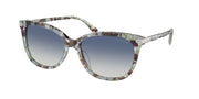 Coach HC8378U Seaglass Tortoise Sunglasses